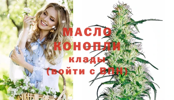 крисы Армянск