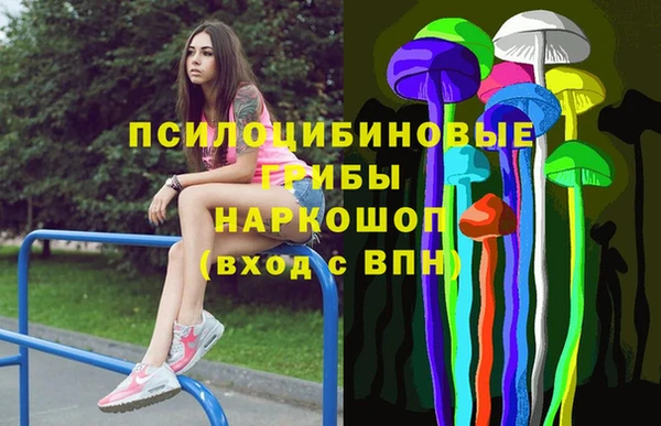 крисы Армянск