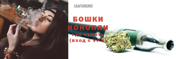 крисы Армянск