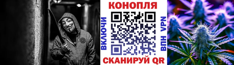 Шишки марихуана OG Kush  купить  цена  Тында 
